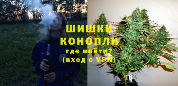 МДПВ Бугульма