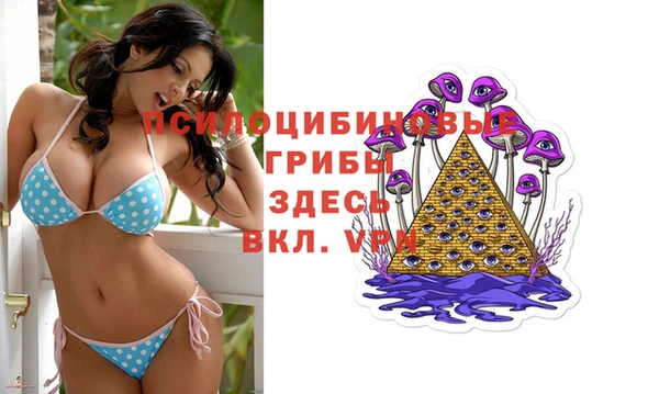 твердый Покровск